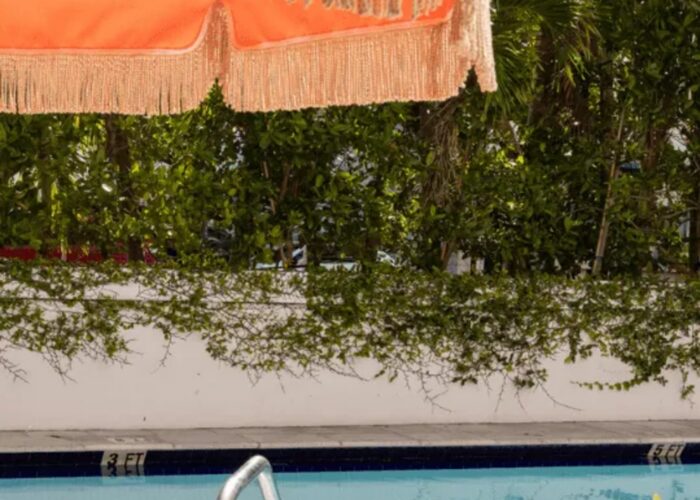 Greenery overhanging the pool